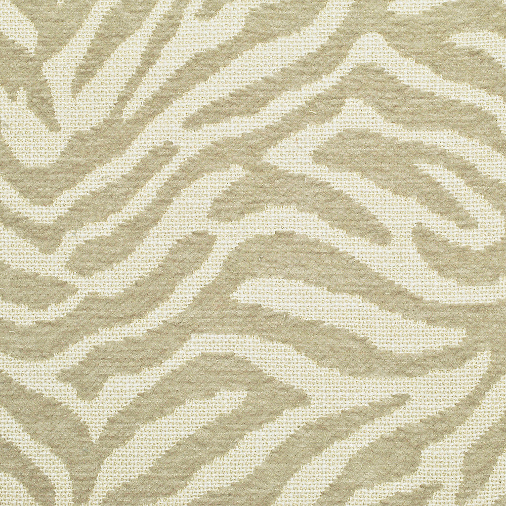 Fuzzy Sesame 43 by P Kaufmann Fabrics Fabric