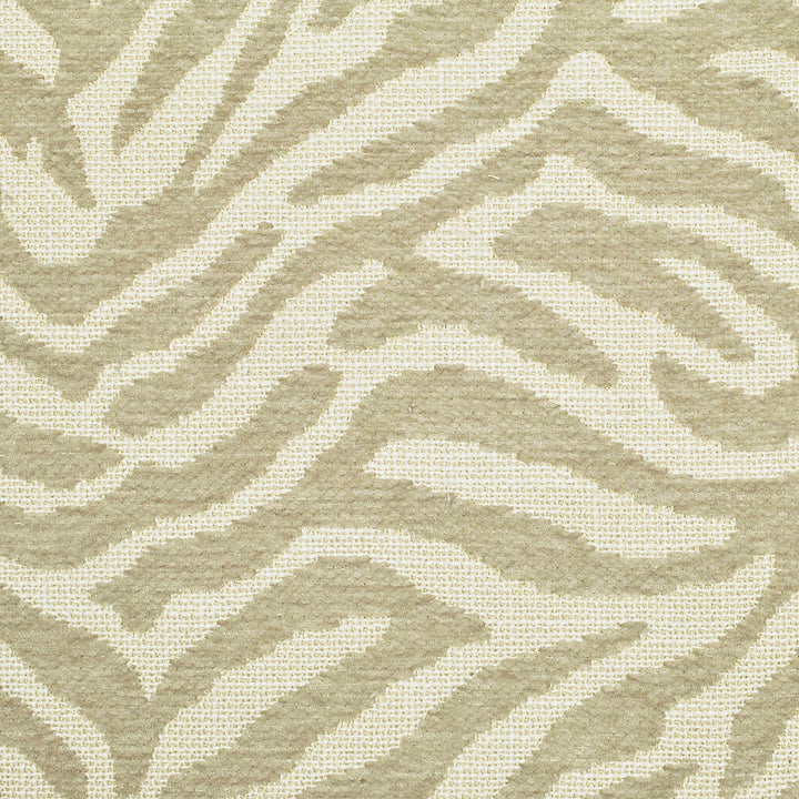 Fuzzy Sesame 43 by P Kaufmann Fabrics Fabric