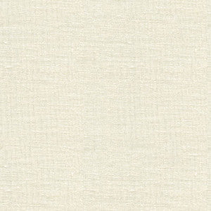 Kravet Basics 8620-101 by Kravet Basics Fabric