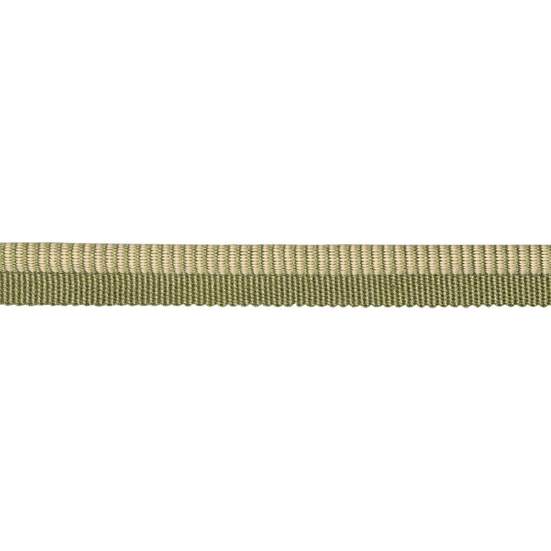 Seville Ribbed Cord - Green by Schumacher Trim