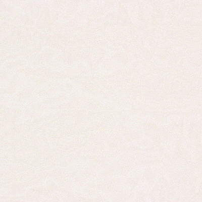 8656-1 by Kravet Basics Fabric - POLYESTER - 100% Turkey LIGHT Horizontal: 0 and Vertical: 0 118 - Fabric Carolina -