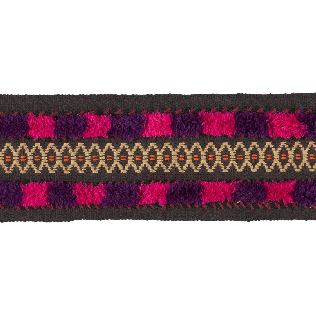 Biyan Tape - Raspberry by Schumacher Trim