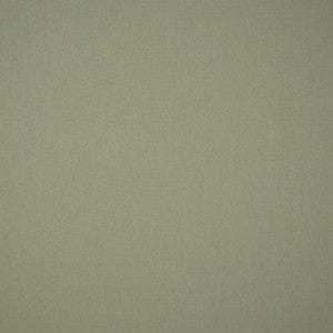 SJA 3983 137 Canvas Almond by Sunbrella Fabric