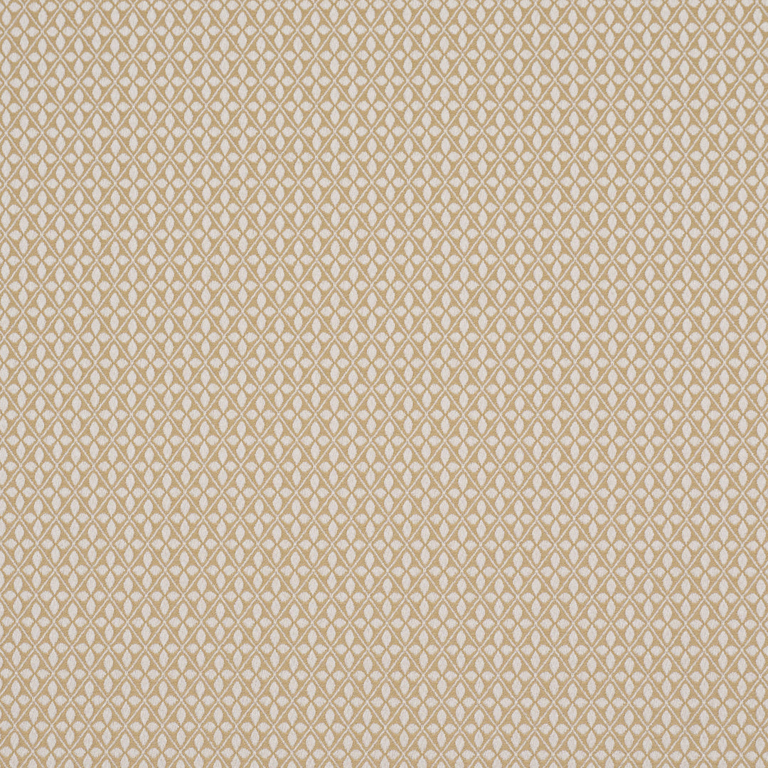 Adams Damask - Neutral by Schumacher Fabric