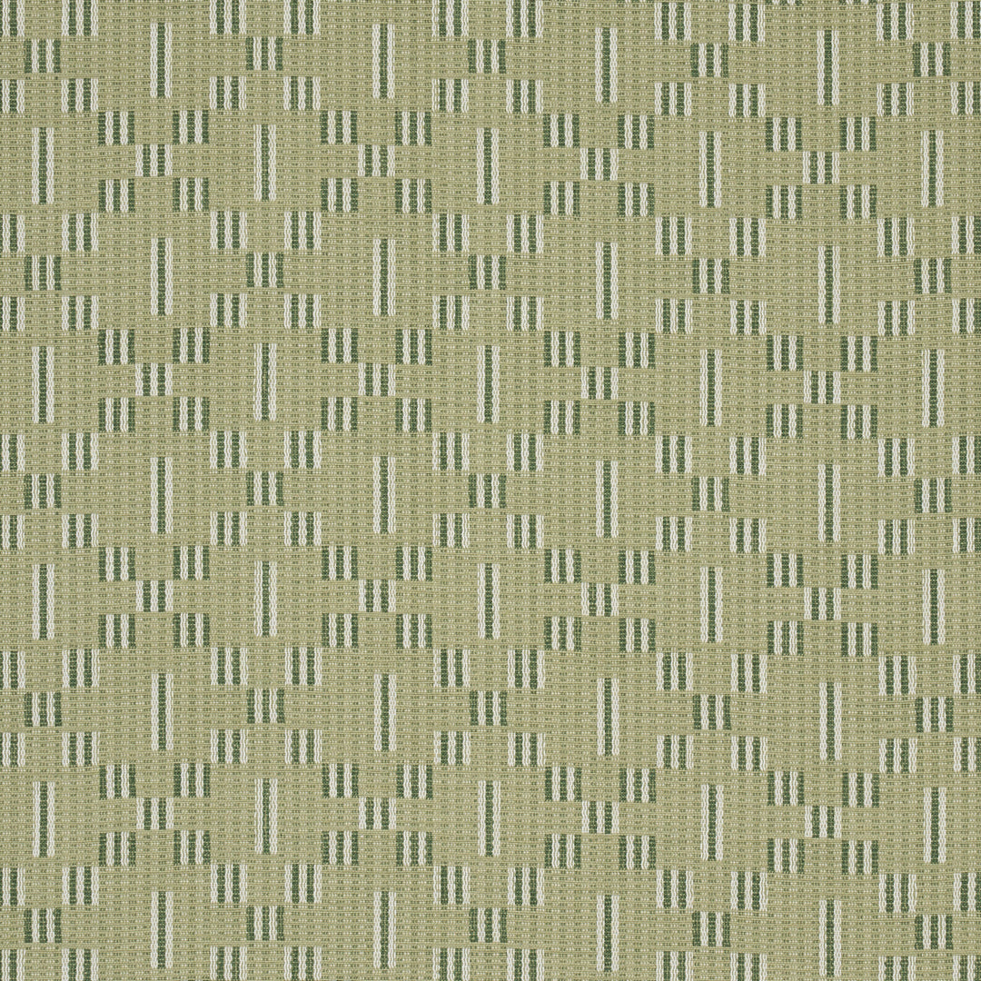 Austin - Green by Schumacher Fabric
