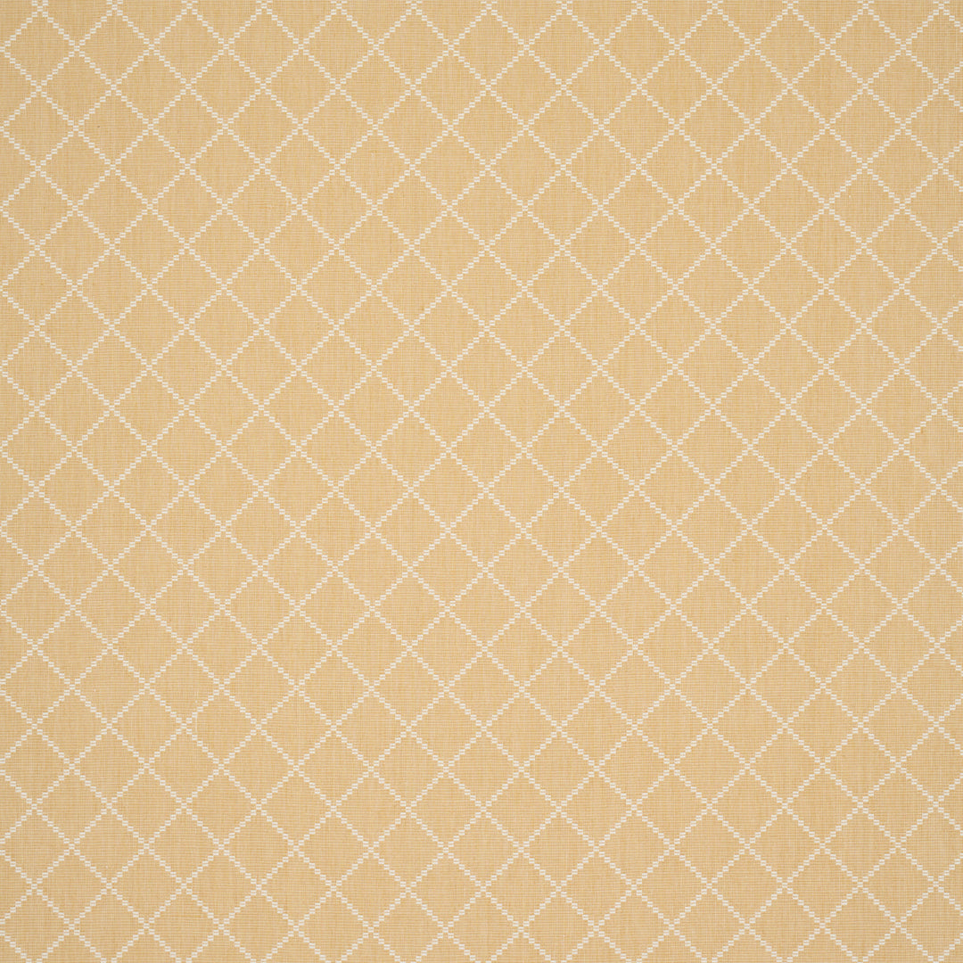 Liam - Yellow by Schumacher Fabric
