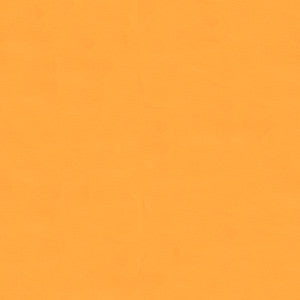 La Fenice Silk Apricot by Lee Jofa Fabric