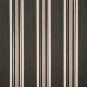 4838 Emblem Badger by Sunbrella Fabric