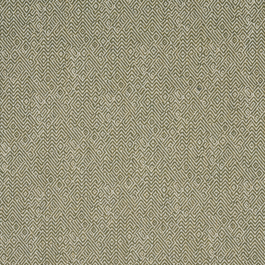 Leona Performance - Green by Schumacher Fabric