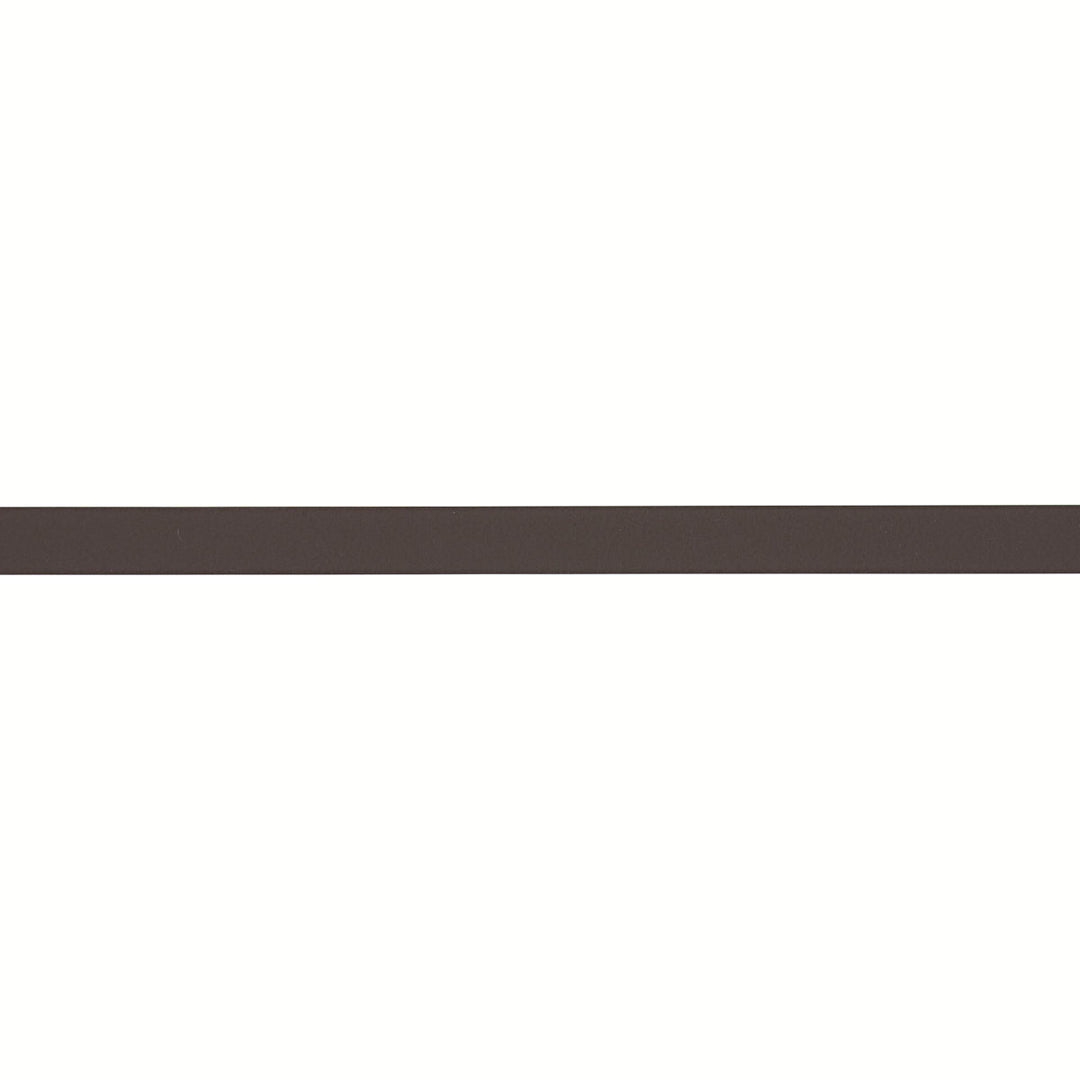 Frazer Petite Leather Trim - Dark Brown by Schumacher Trim