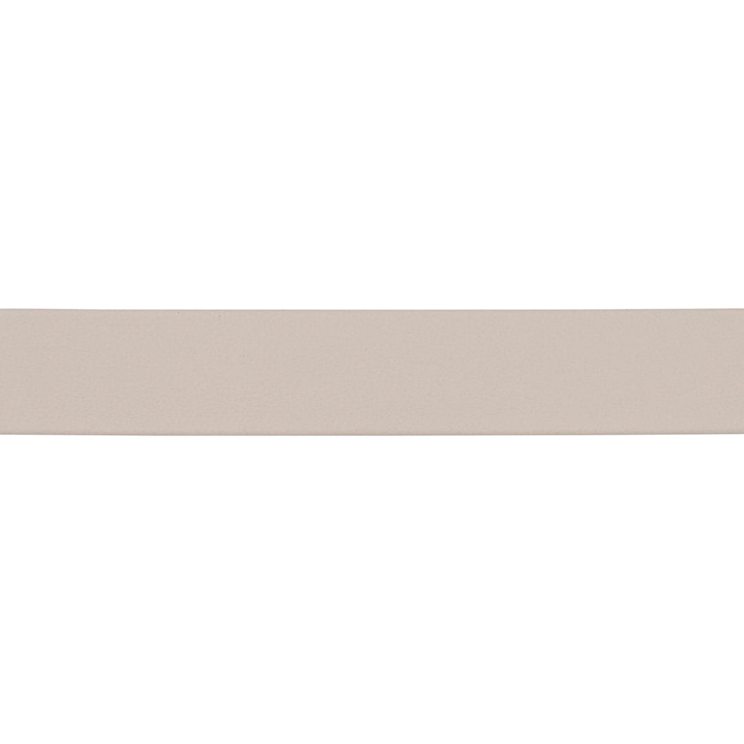 Frazer Medium Leather Trim - Grey by Schumacher Trim