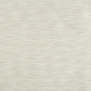 Kravet Basics 8813-1011 by Kravet Basics Fabric
