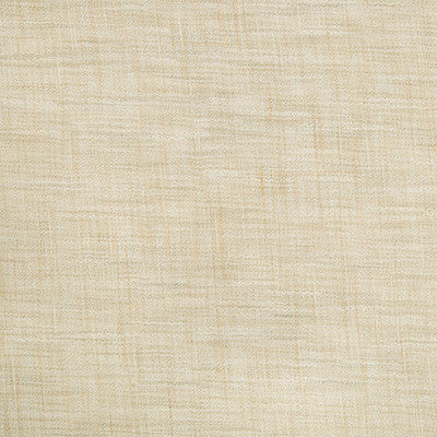 Kravet Basics 8813-1016 by Kravet Basics Fabric