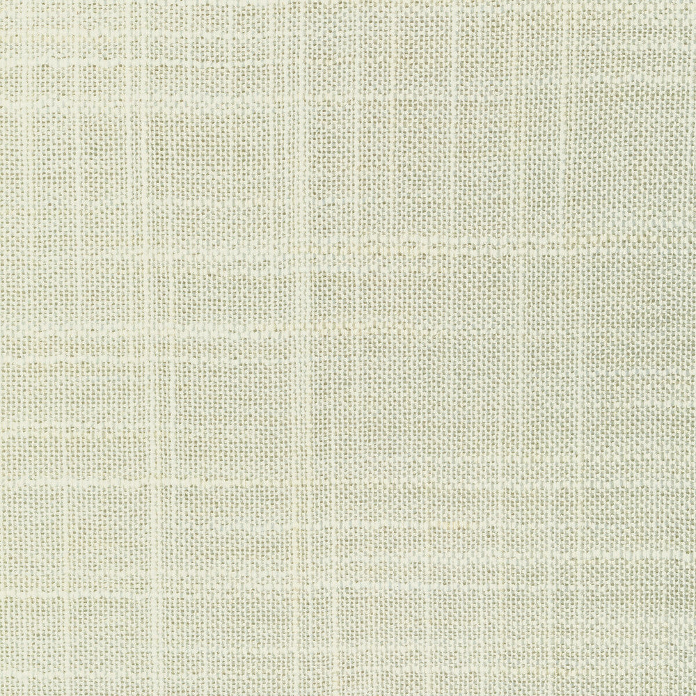8813-101 by Kravet Basics Fabric POLYESTER - 100% India LIGHT Horizontal: 0 and Vertical: 0 54 - Fabric Carolina -