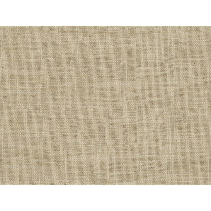 8813-106 by Kravet Basics Fabric - POLYESTER - 100% India LIGHT Horizontal: 0 and Vertical: 0 54 - Fabric Carolina -