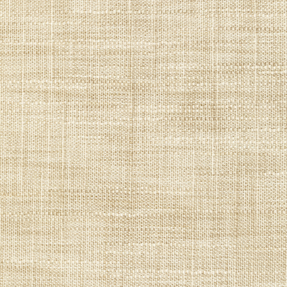 8813-106 by Kravet Basics Fabric POLYESTER - 100% India LIGHT Horizontal: 0 and Vertical: 0 54 - Fabric Carolina -
