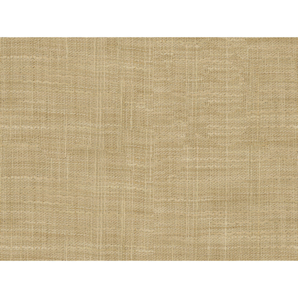 8813-1116 by Kravet Basics Fabric - POLYESTER - 100% India LIGHT Horizontal: 0 and Vertical: 0 54 - Fabric Carolina -