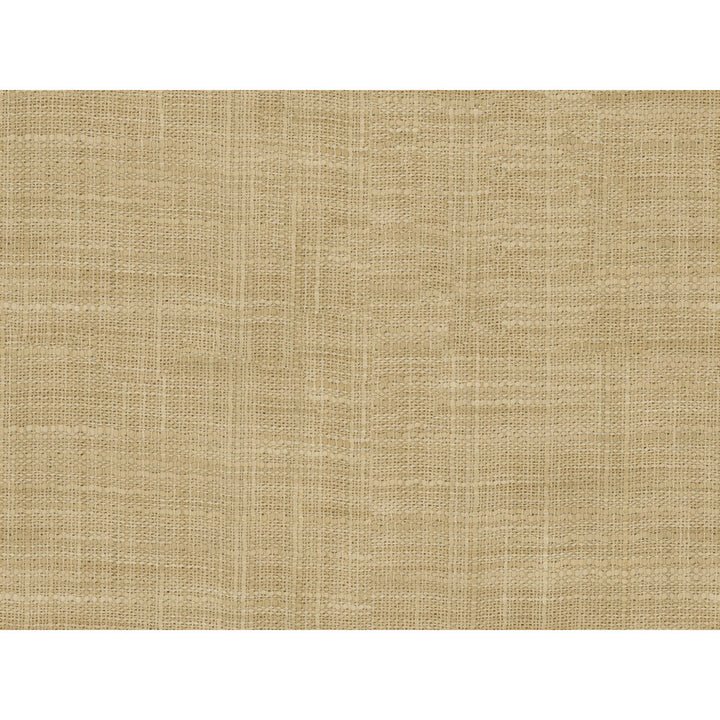 8813-1116 by Kravet Basics Fabric - POLYESTER - 100% India LIGHT Horizontal: 0 and Vertical: 0 54 - Fabric Carolina -