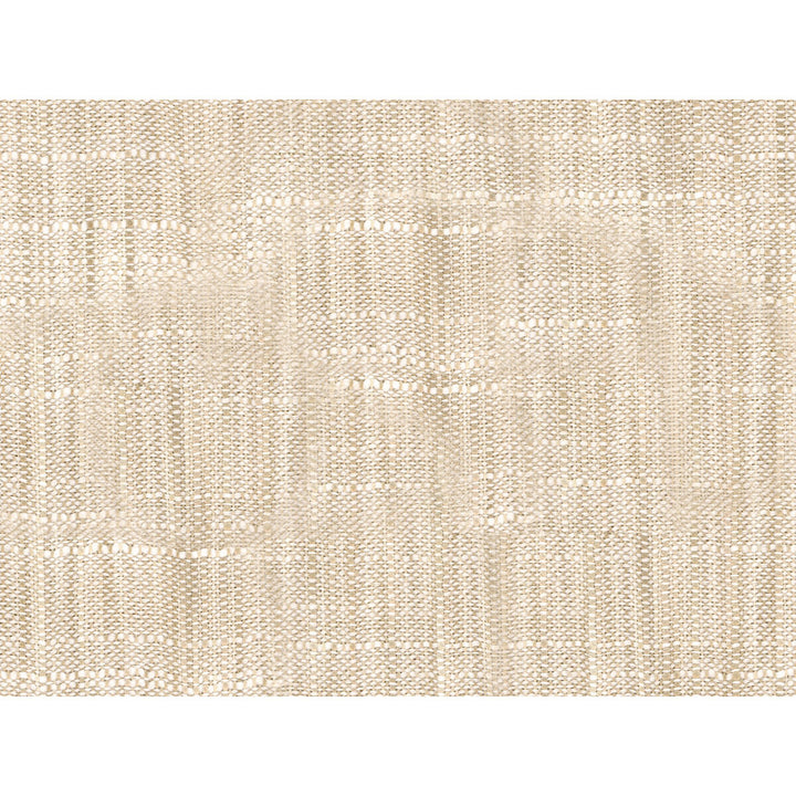 8813-111 by Kravet Basics Fabric - POLYESTER - 100% India LIGHT Horizontal: 0 and Vertical: 0 54 - Fabric Carolina -