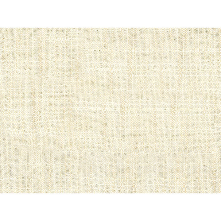 8813-114 by Kravet Basics Fabric POLYESTER - 100% India LIGHT Horizontal: 0 and Vertical: 0 54 - Fabric Carolina -