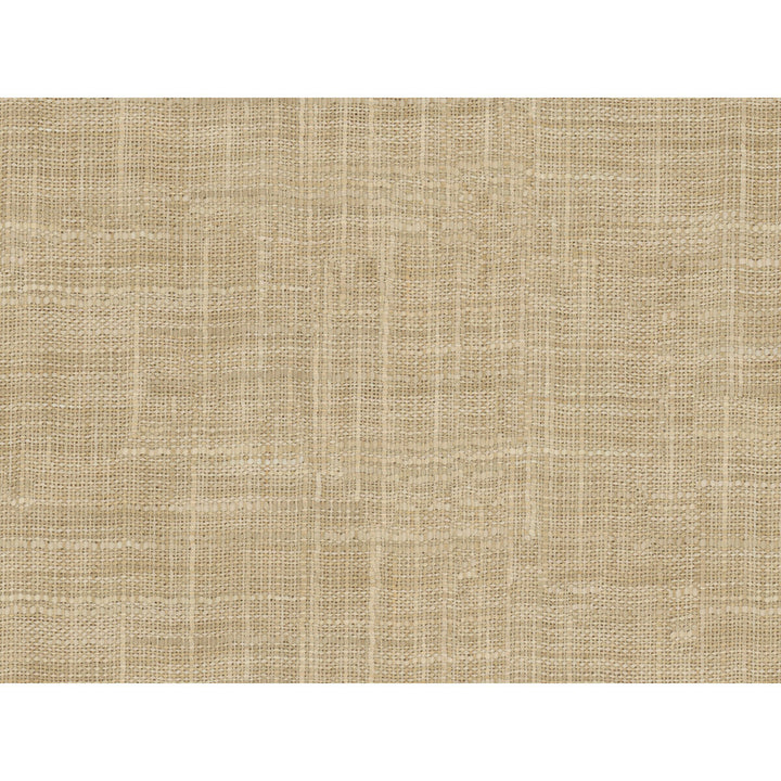 8813-1614 by Kravet Basics Fabric POLYESTER - 100% India LIGHT Horizontal: 0 and Vertical: 0 54 - Fabric Carolina -