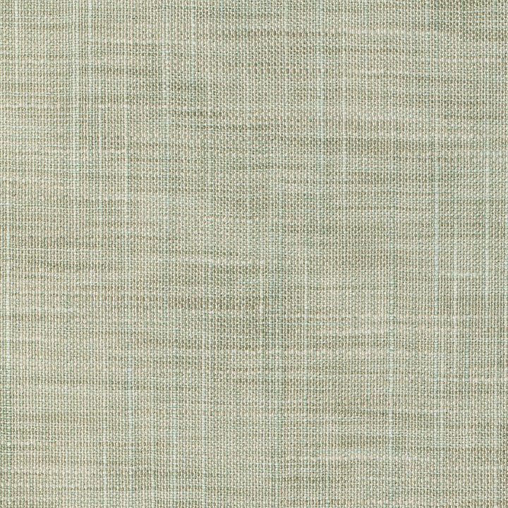 Kravet Basics 8813-35 by Kravet Basics Fabric Kravet Basics Fabric Kravet Basics 8813-35Fabric POLYESTER - 100% India </p><p>Repeat: H: 0, V: 0 54 - Fabric Carolina -