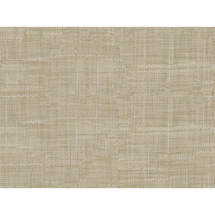 8813-6106 by Kravet Basics Fabric POLYESTER - 100% India LIGHT Horizontal: 0 and Vertical: 0 54 - Fabric Carolina -