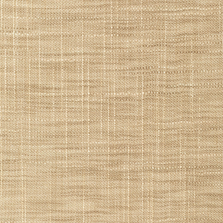Kravet Basics 8813-611 by Kravet Basics Fabric Kravet Basics Fabric Kravet Basics 8813-611Fabric POLYESTER - 100% India </p><p>Repeat: H: 0, V: 0 54 - Fabric Carolina -