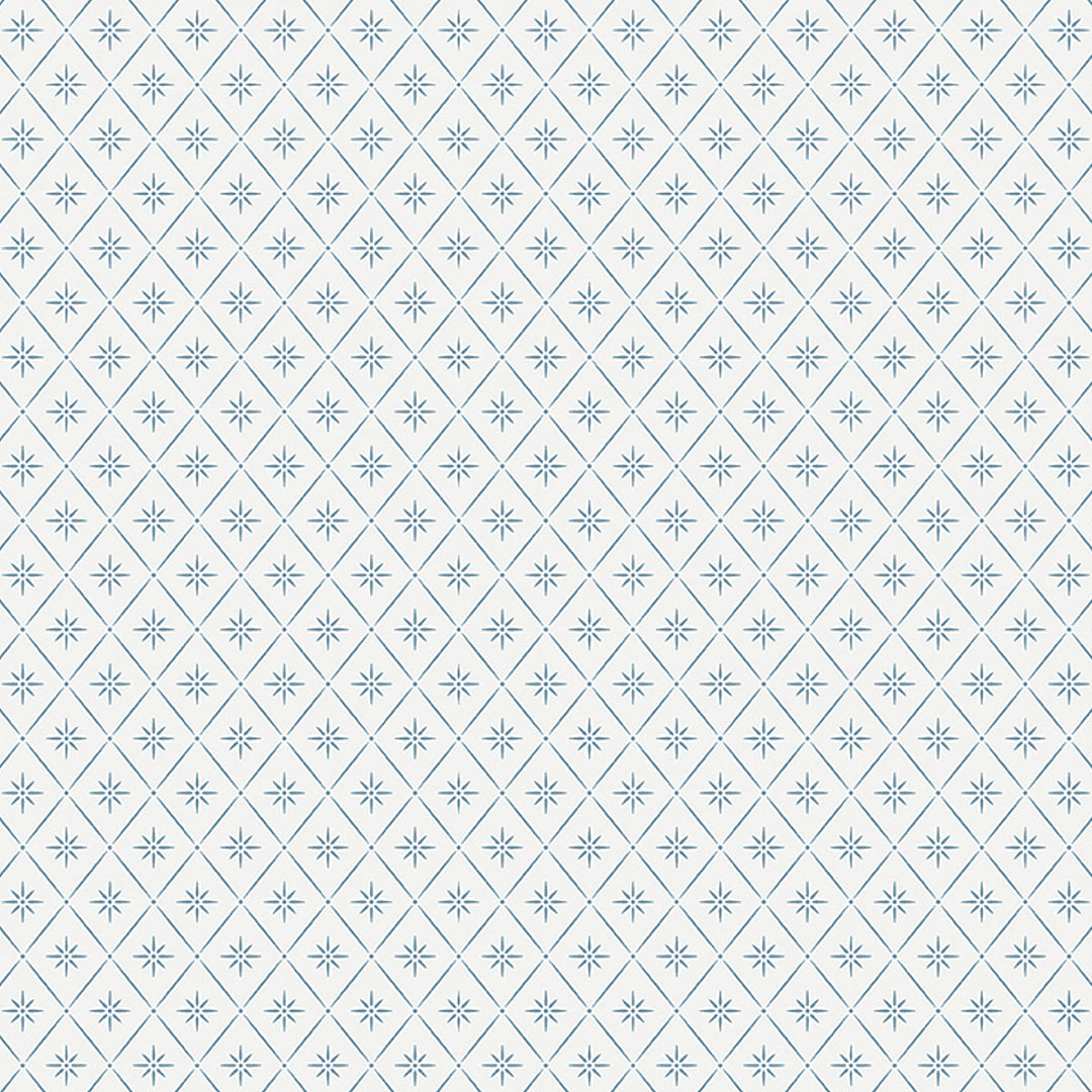 Windrose - Blue by Schumacher Wallcovering