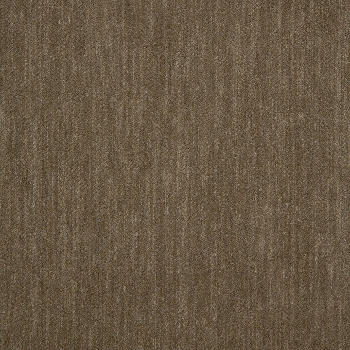 42097-0004 Decor Mink by Sunbrella Fabric Sunbrella Fusion Sunbrella® Acrylic, Sunbrella® Polyester USA or Imported 5-Year Horizontal: and Vertical: 40 yd. 54 in. - Fabric Carolina -