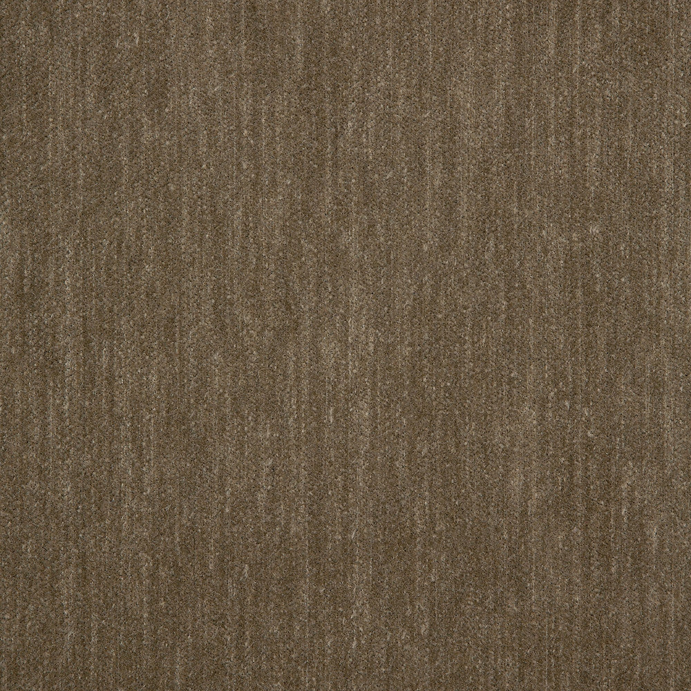 42097-0004 Decor Mink by Sunbrella Fabric Sunbrella Fusion Sunbrella® Acrylic, Sunbrella® Polyester USA or Imported 5-Year Horizontal: and Vertical: 40 yd. 54 in. - Fabric Carolina -