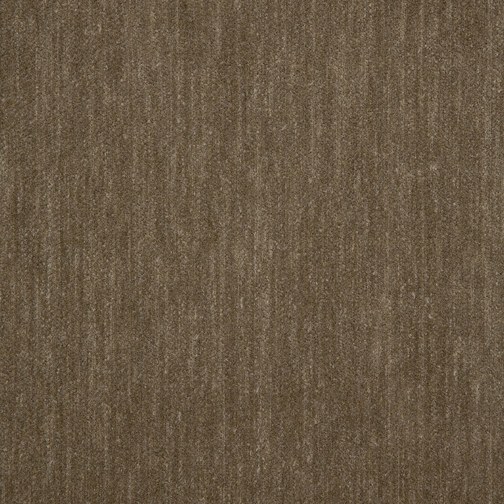 42097-0004 Decor Mink by Sunbrella Fabric Sunbrella Fusion Sunbrella® Acrylic, Sunbrella® Polyester USA or Imported 5-Year Horizontal: and Vertical: 40 yd. 54 in. - Fabric Carolina -