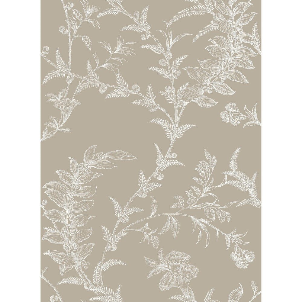 Ludlow Taupe by Cole & Son Wallcovering PAPER - 100% United Kingdom Horizontal: and Vertical: 28.5 21 - Fabric Carolina -
