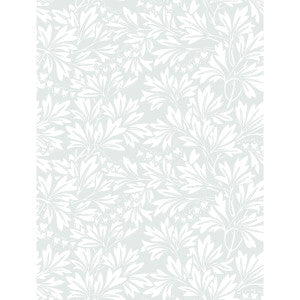 Dialytra Dove by Cole & Son Wallcovering