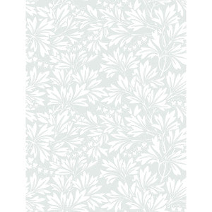 Dialytra Dove by Cole & Son Wallcovering