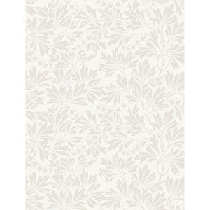 Dialytra Ecru by Cole & Son Wallcovering