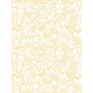 Dialytra Yellow by Cole & Son Wallcovering