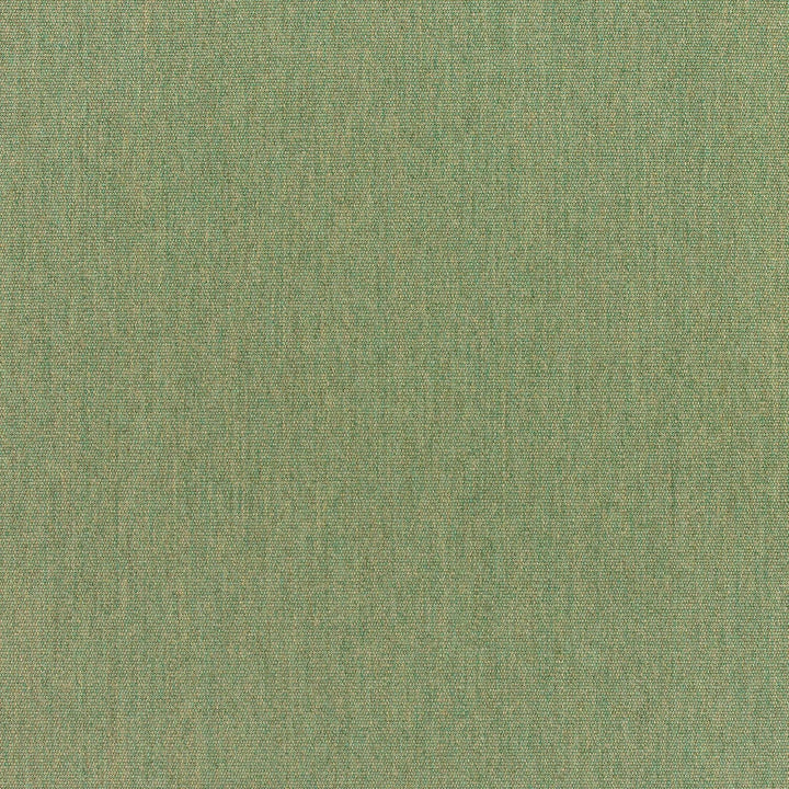 5487 Canvas Fern by Sunbrella Fabric Sunbrella Elements - Canvas Sunbrella® Acrylic, Sunbrella® Polyester, Sunbrella® Non-Phthalate PVC USA or Imported 5-Year Horizontal: and Vertical: 60 yd. 54 in. - Fabric Carolina -