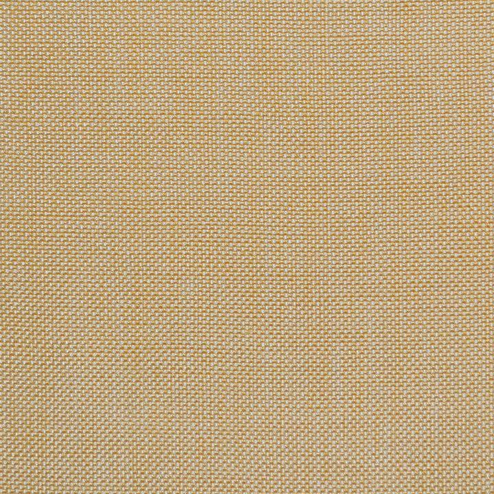 Groupie Cornsilk Nc20 138 by P Kaufmann Fabrics Fabric
