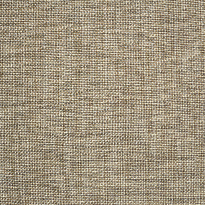 Groupie Sand Nc20 213 by P Kaufmann Fabrics Fabric
