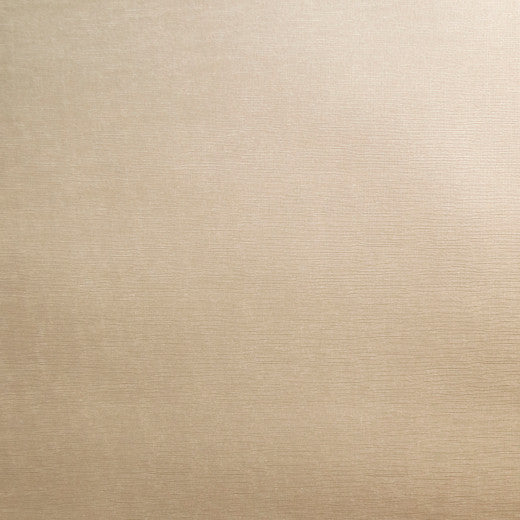 Pioneer - 08 by Europatex Fabric Pioneer 55% PVC, 40% Polyester, 5% Polyurethane China See Sample Horizontal: N/A and Vertical: N/A 55.00 inches  - Fabric Carolina -