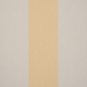 D300 Wide Chiné Yellow by Sunbrella Fabric