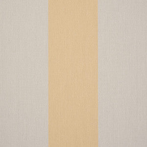 D300 Wide Chiné Yellow by Sunbrella Fabric