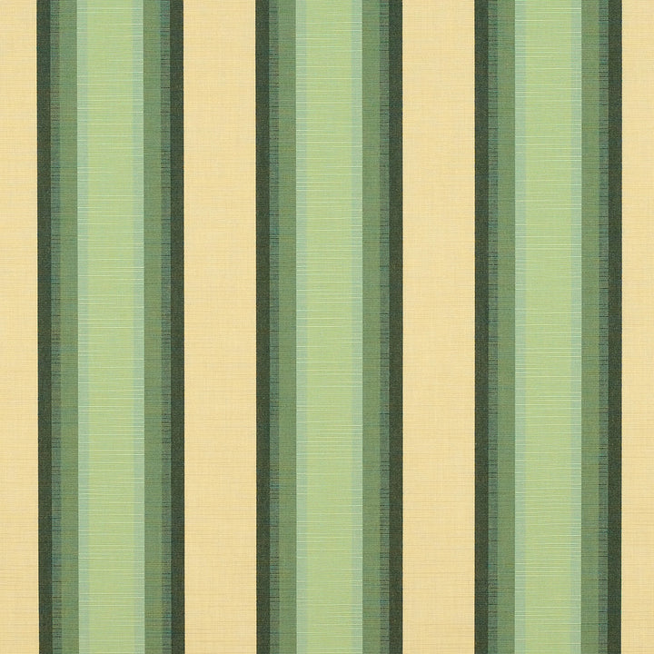 4856 Colonnade Juniper by Sunbrella Fabric Sunbrella Awning Stripes 100% Sunbrella® Acrylic USA or Imported 10-Year Horizontal: and Vertical: 46 in. - Fabric Carolina -