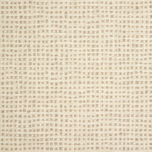145404-0001 Stipple Putty by Sunbrella Fabric