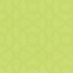 Marin LIME 900206 by Dena Home Fabric