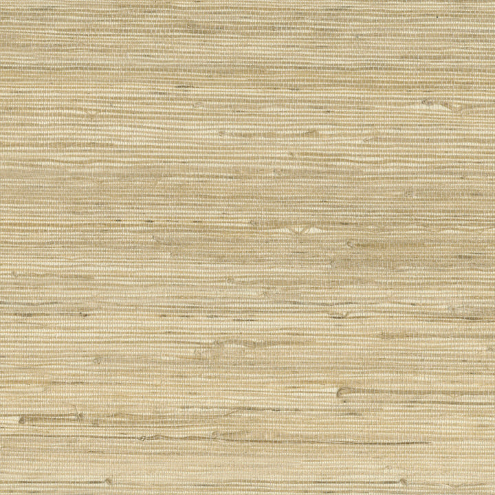 9025 14WS121 by JF Wallcovering INDOCHINE 100% Wallpaper China Horizontal: and Vertical: 36 inches, 8 yards per roll. - Fabric Carolina -