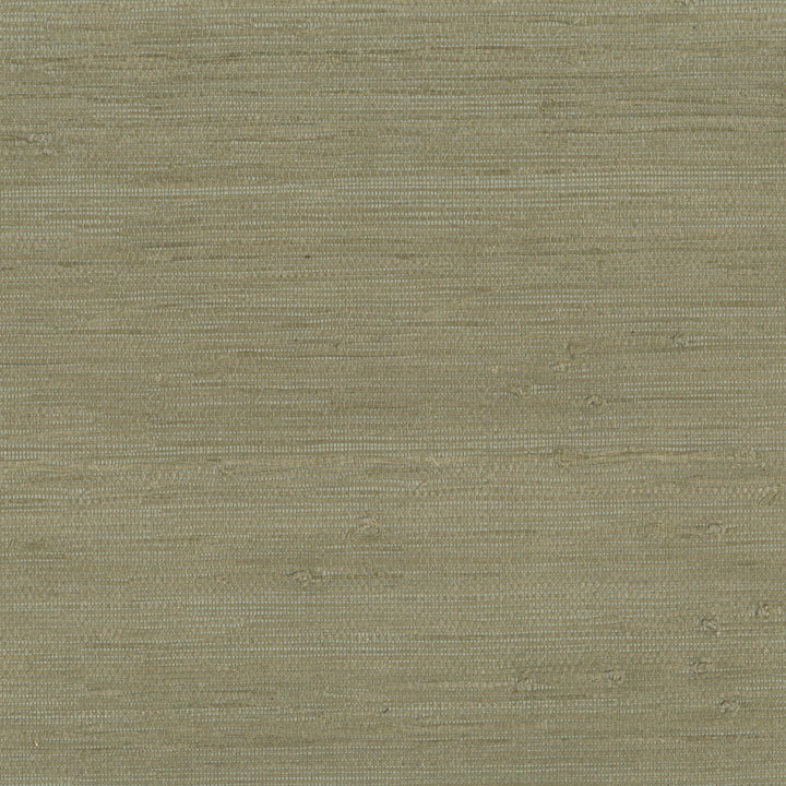 9025 75WS121 by JF Wallcovering INDOCHINE 100% Wallpaper China Horizontal: and Vertical: 36 inches, 8 yards per roll. - Fabric Carolina -