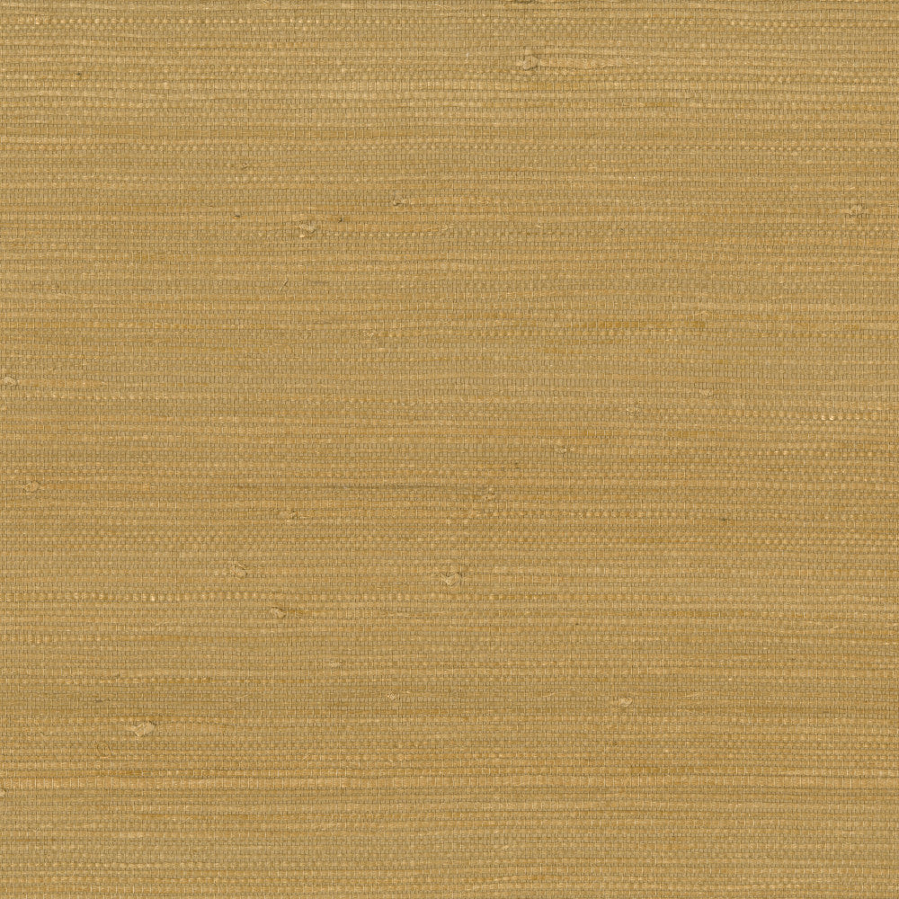 9031 18Ws121 by JF Wallcovering INDOCHINE 100% Wallpaper China Horizontal: and Vertical: 36 - Fabric Carolina -
