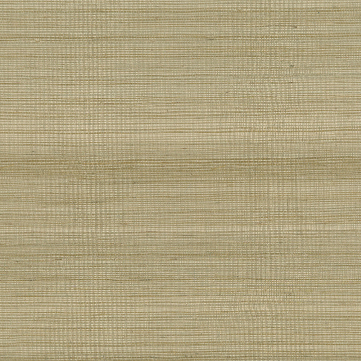 9037 12WS121 by JF Wallcovering INDOCHINE 100% Wallpaper China Horizontal: and Vertical: 36 inches, 8 yards per roll. - Fabric Carolina -